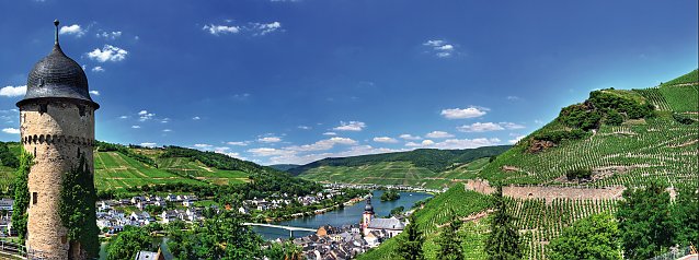 © Frank Krautschick - stock.adobe.com