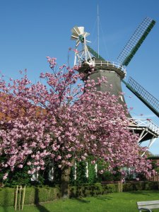 Peldemühle in Bensersiel