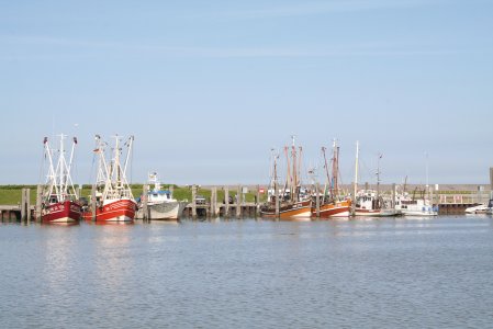© Kurverwaltung Norden-Norddeich