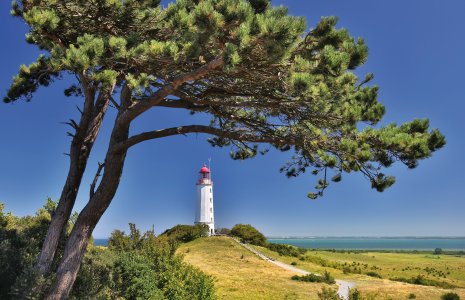 © Henner Damke-fotolia.com