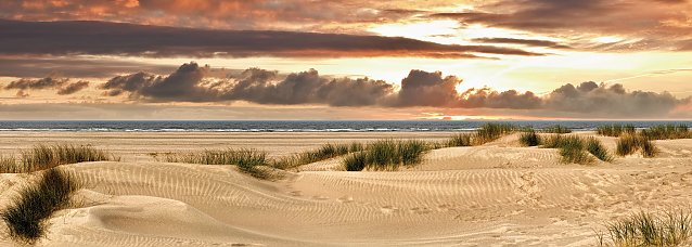 © Blickfang - Fotolia