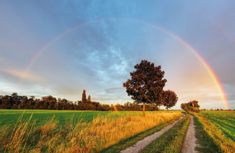 Regenbogen