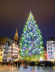 © Alexi Tauzin - fotolia.com