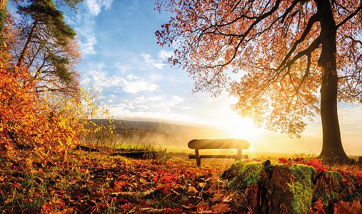 © Smileus - stock.adobe.com