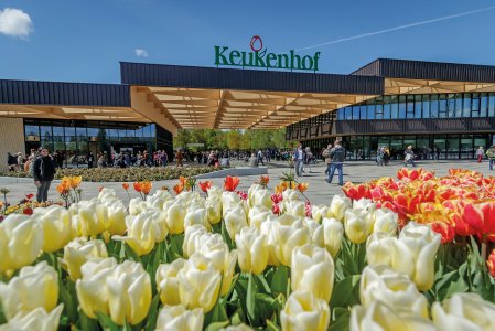 © Keukenhof