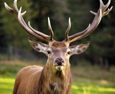 © Wiltrud-fotolia.com