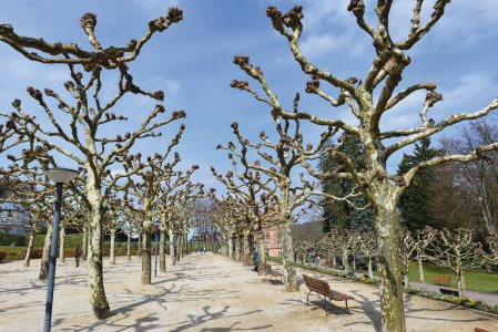 © Ilhan Balta-fotolia.com