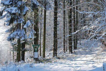 © Ingrid Menzel/Stadt Willebadessen