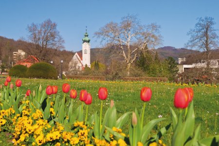 © Jan Schuler-fotolia.com