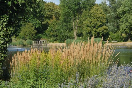 Kurpark in Bad Laer