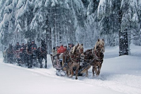 © Andreas Weise/Thüringer Tourismus GmbH  