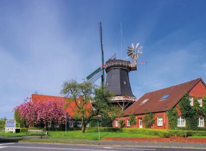 © LianeM-fotolia.com