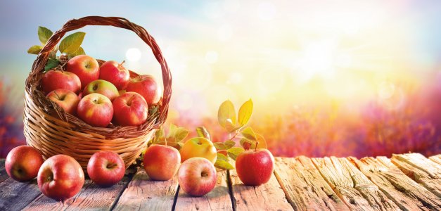 © Romolo Tavani-fotolia.com