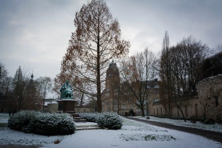© Andrea-fotolia.com
