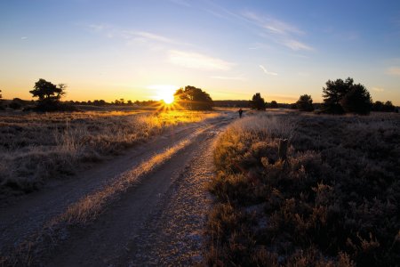 © Meike_I-fotolia.com