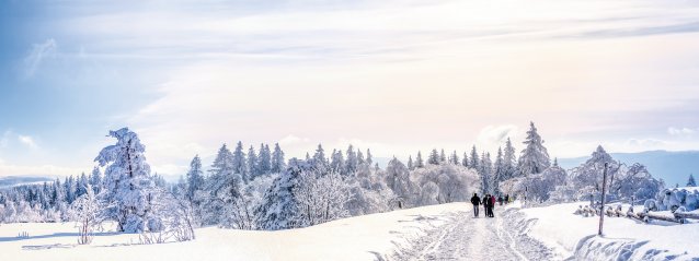 © pure-life-pictures-fotolia.com