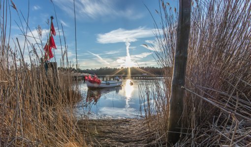 © Klaus Haase-stock.adobe.com
