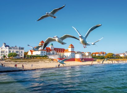 © Comofoto - stock.adobe.com