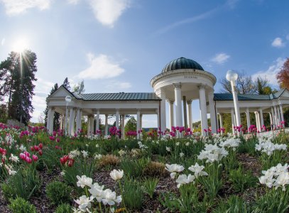 Carolinenquelle in Marienbad
 

