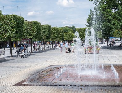 © Animaflora PicsStock - stock.adobe.com