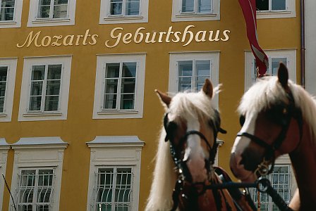 © ANTO/Wiesenhofer
