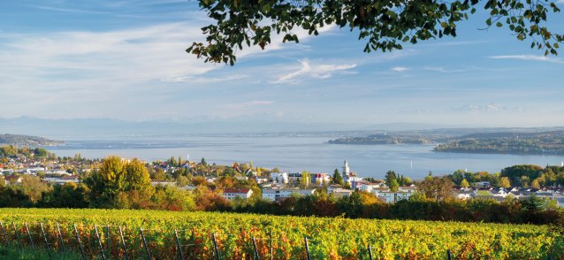 © Manuel Schönfeld - stock.adobe.