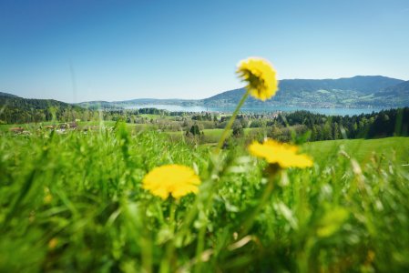 © Der Tegernsee, Dietmar Denger