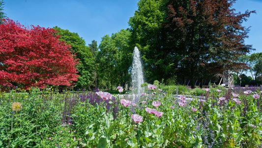 Brunnen im Kurpark von Bad Westernkotten
