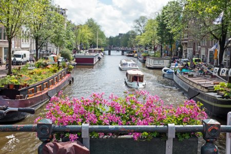 © Nataraj - stock.adobe.com