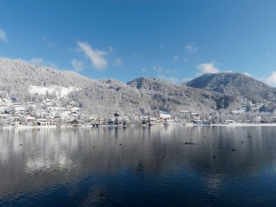 © Marc - stock.adobe.com