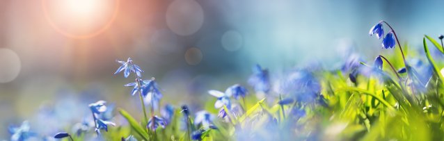 © candy1812 - stock.adobe.com