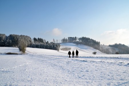 © elimare - stock.adobe.com
