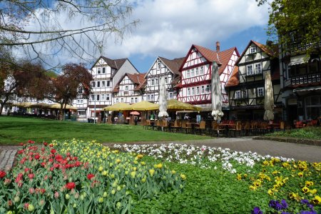 © Falko Göthel - stock.adobe.com