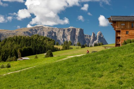 © Tilo Grellmann - stock.adobe.com