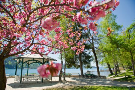 © Wörthersee Tourismus GmbH/Franz Gerdl 