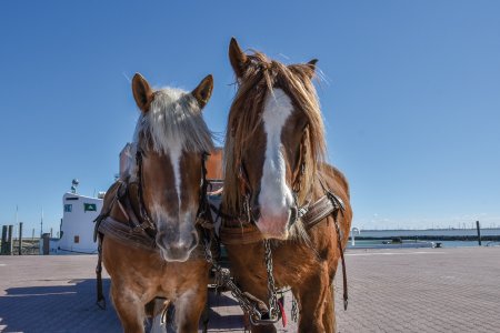 © Sabine - stock.adobe.com