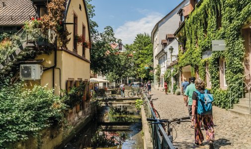 © riebevonsehl - stock.adobe.com