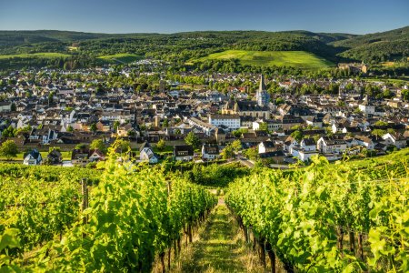 © Dominik Ketz /Ahrtal-Tourismus Bad Neuenahr-Ahrweiler e.V.