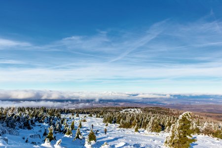 Winterlandschaft im Harz 