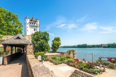 Kurfürstliche Burg Eltville am Rhein