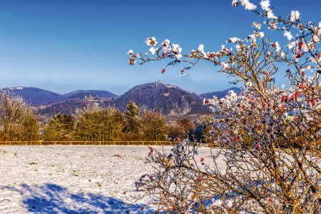 Winterlandschaft im Siebengebirge