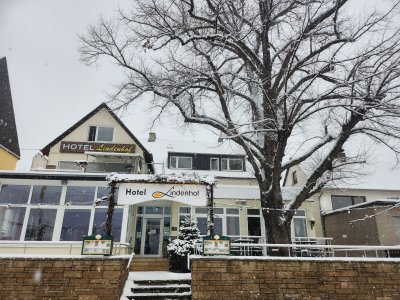 Hotel Lindenhof