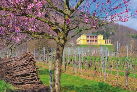 Villa Ludwigshöhe Edenkoben