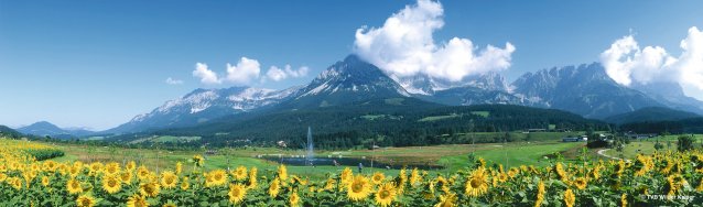 Sommerpanorama Wilder Kaiser
