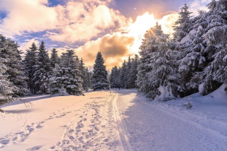 Winter im Thüringer Wald
