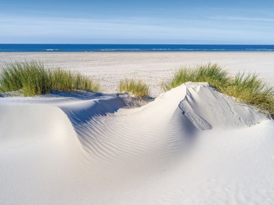 Dünenlandschaft auf der Insel Juist