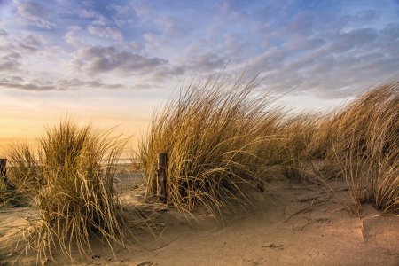 Dünen am Strand von Norddeich
