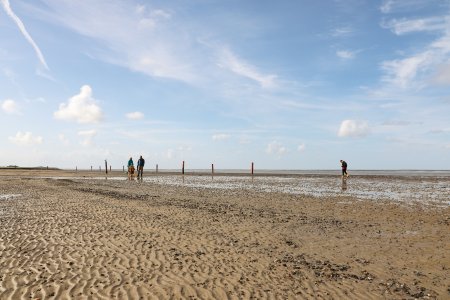 Watt bei Norden-Norddeich