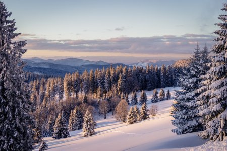 Winter im Schwarzwald