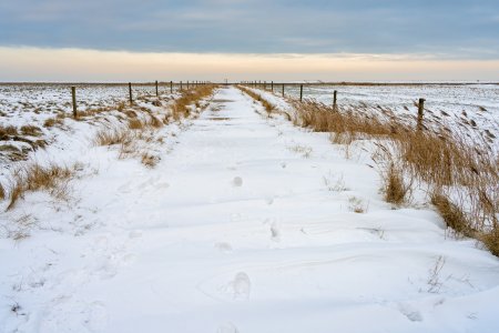 Nationalpark Niedersächsisches Wattenmeer